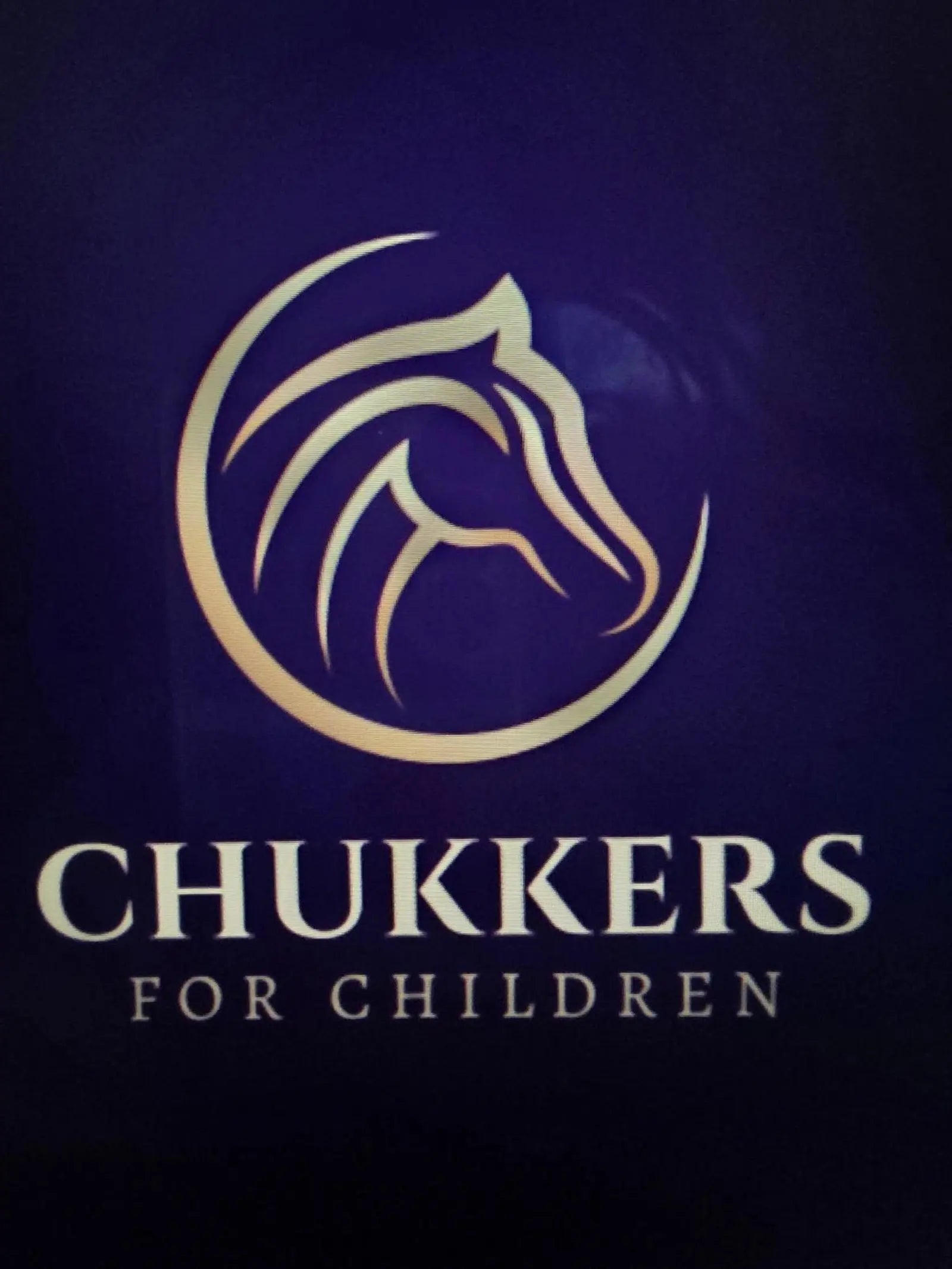 Mind Master Malibu Beachfront Holiday Gala: Kabbalistic Parenting, Sound Bath & AI Impact for Autistic Children Sunday Dec, 7 3PM-7:00PM