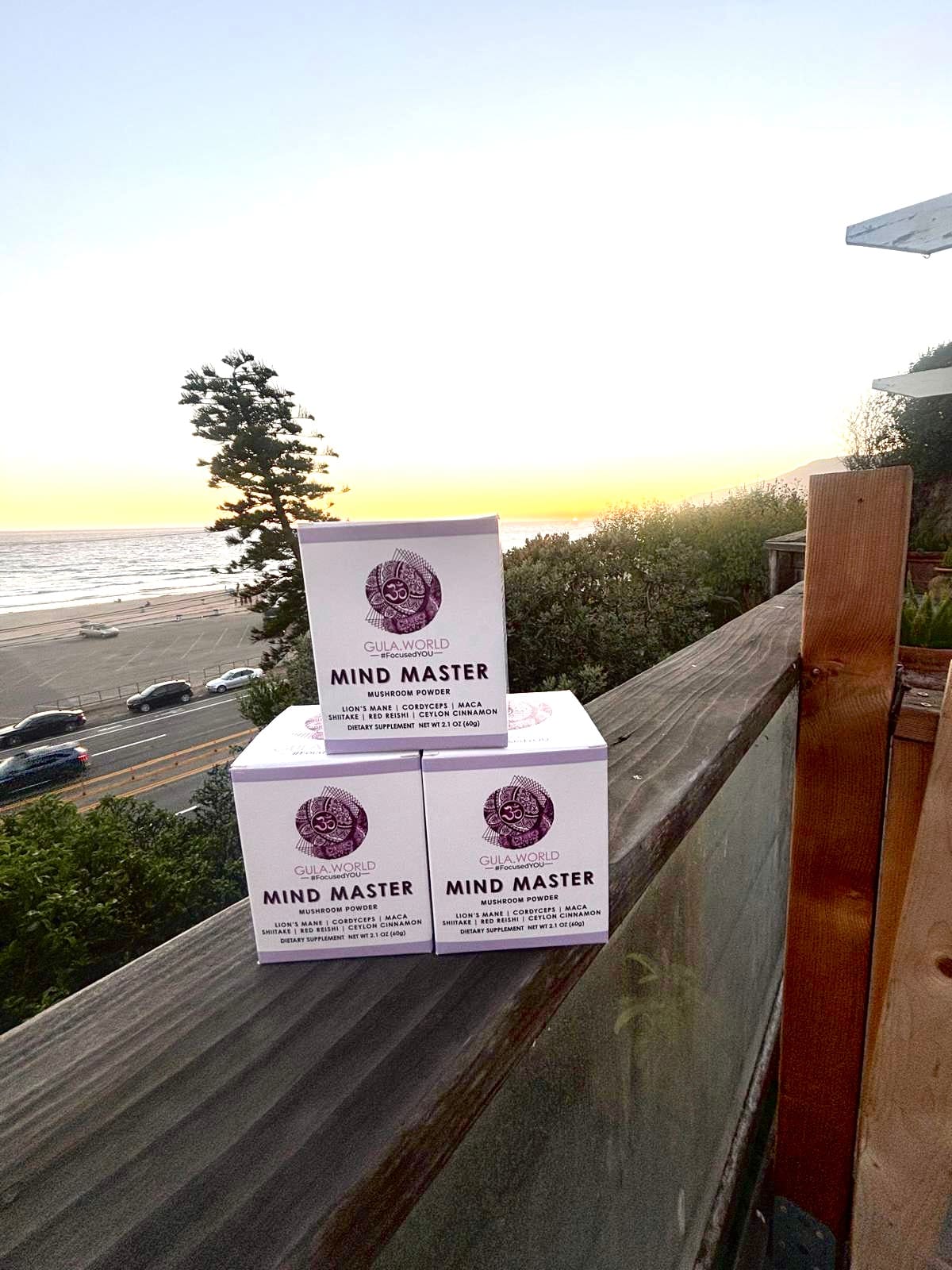 Mind Master - Mushroom Powder (60-Day Supply)